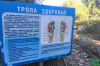 тропа здоровья